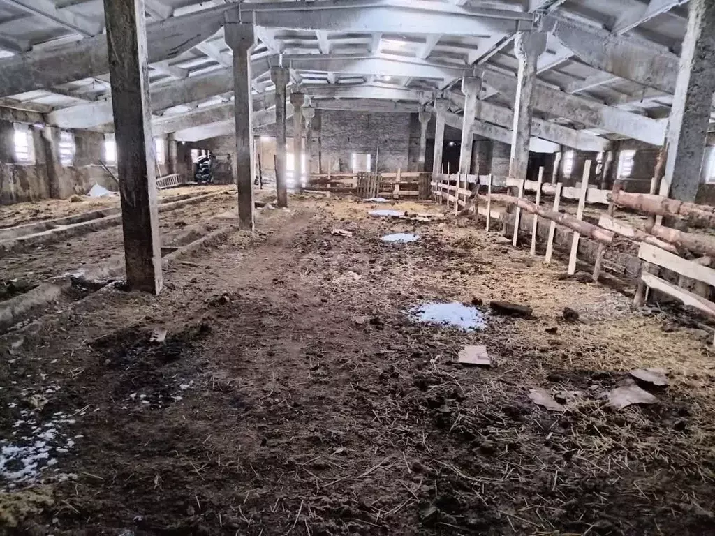 Помещение свободного назначения в Тамбовская область, Тамбовский ... - Фото 0