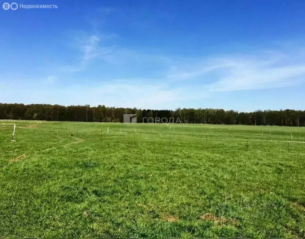 Участок в Первомайский район, посёлок Новый, улица Есенина, 85 (12 м) - Фото 1