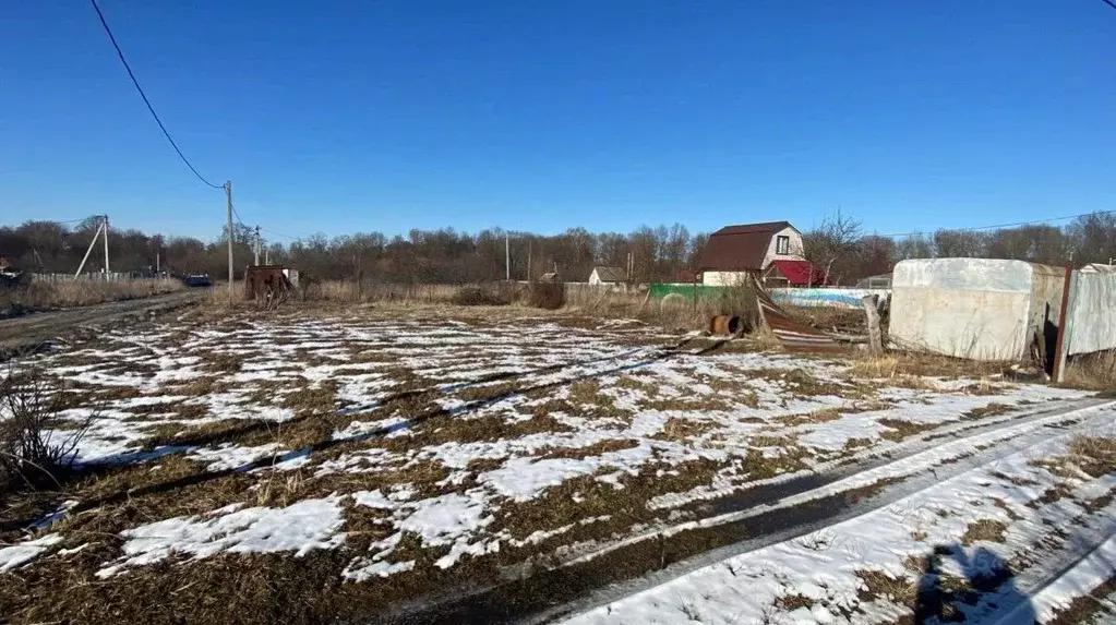 Участок в Московская область, Кашира городской округ, д. Срезнево ул. ... - Фото 1