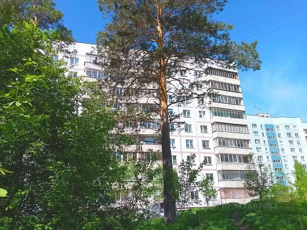 2-к кв. Новосибирская область, Новосибирск Нижняя Ельцовка мкр, ул. ... - Фото 0