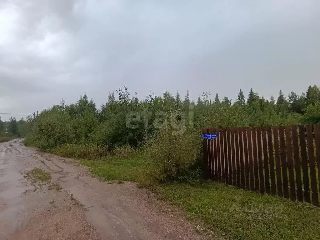 Участок в Архангельская область, Приморский муниципальный округ, д. ... - Фото 2