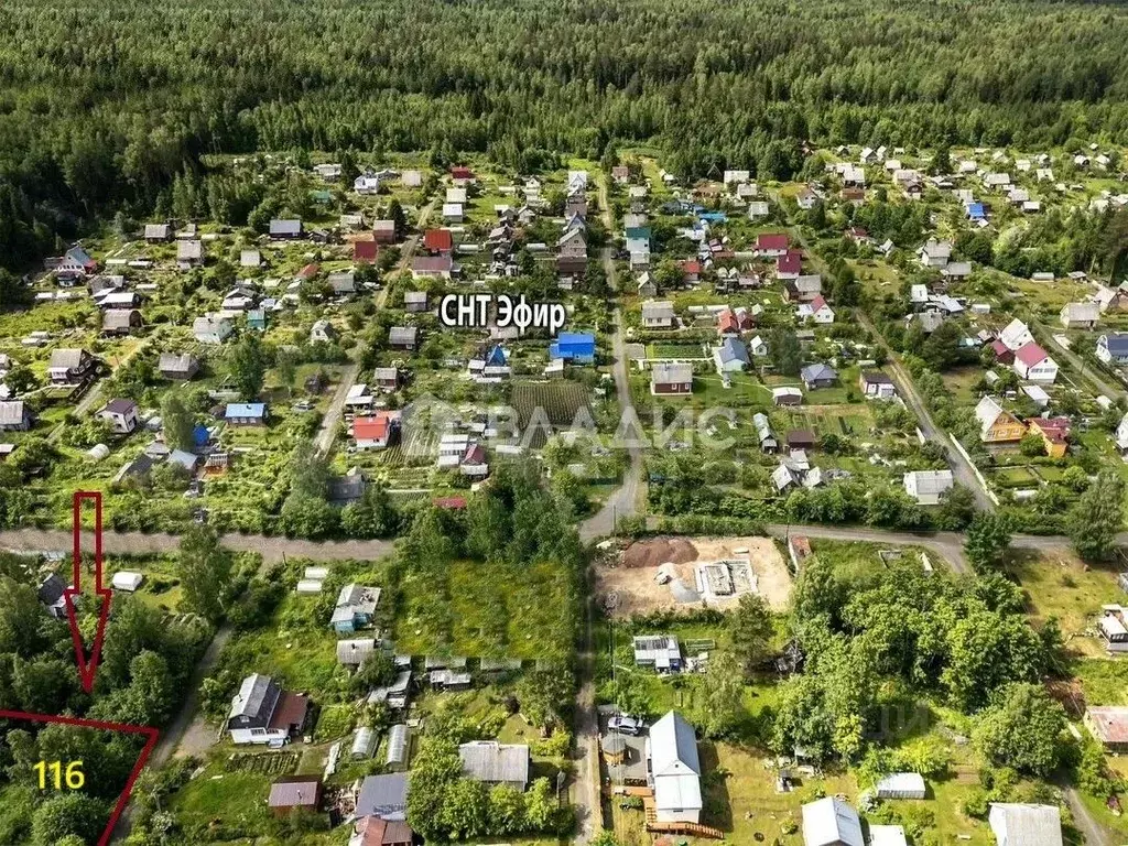 Участок в Карелия, Прионежский район, Деревянское с/пос, Эфир СНТ ул. ... - Фото 1