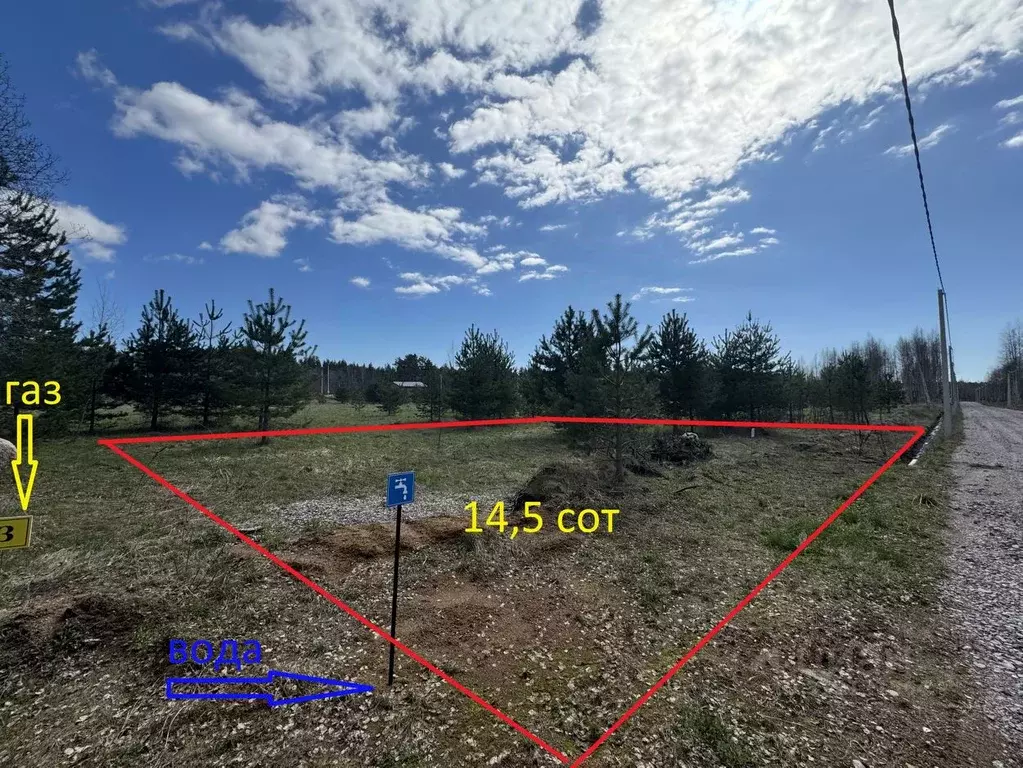 Участок в Ленинградская область, Выборгский район, Приморское ... - Фото 1