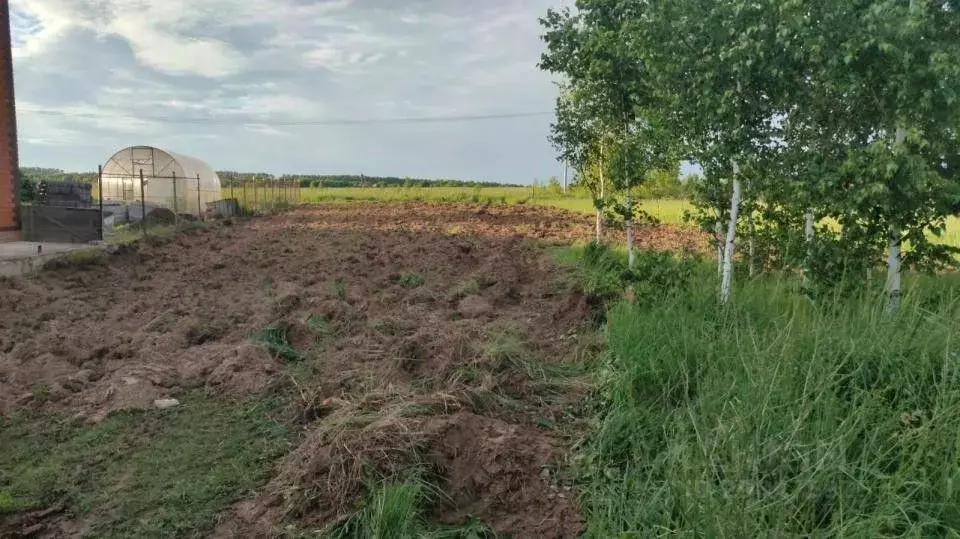 Участок в Татарстан, Зеленодольский район, Нижние Вязовые ... - Фото 0