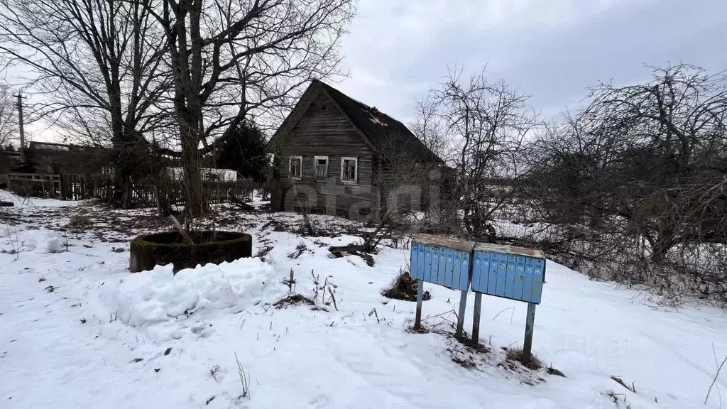 Участок в Ленинградская область, Киришский район, Будогощское ... - Фото 1