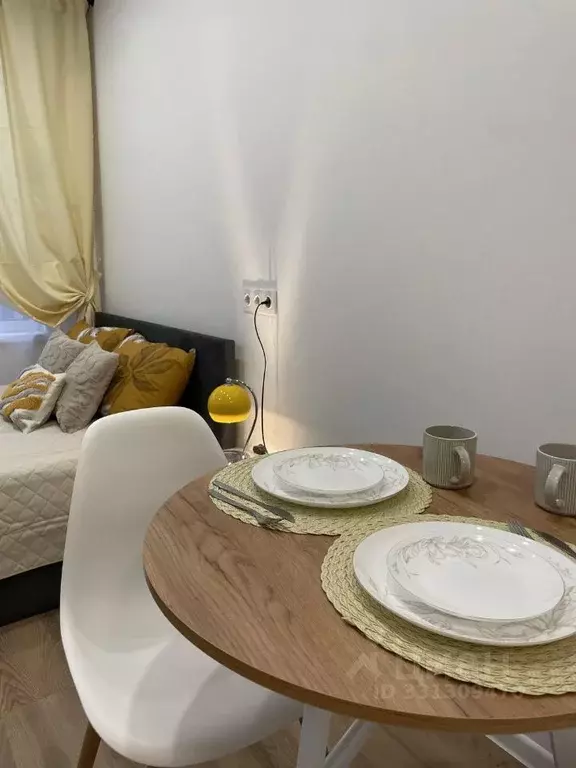 Студия Москва Ленинградское ш., 229Ак2 (25.0 м) - Фото 2