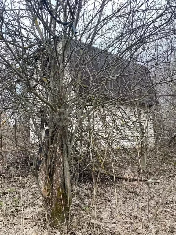 Участок в Татарстан, Казань Залесный садоводческое товарищество, 105 ... - Фото 1