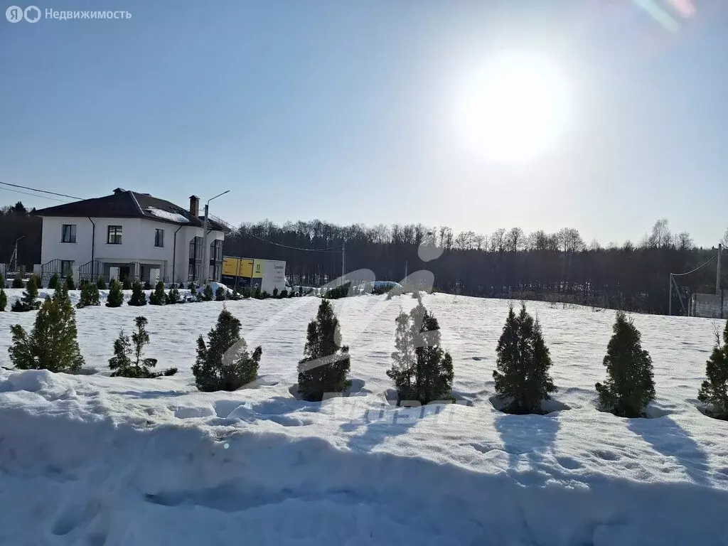 Участок в Московская область, городской округ Щёлково, деревня ... - Фото 2