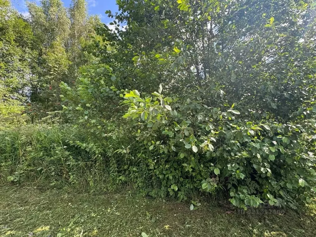 Участок в Московская область, Волоколамский муниципальный округ, д. ... - Фото 2