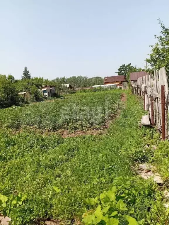 Участок 5,8 сот. (СНТ, ДНП) - Фото 1