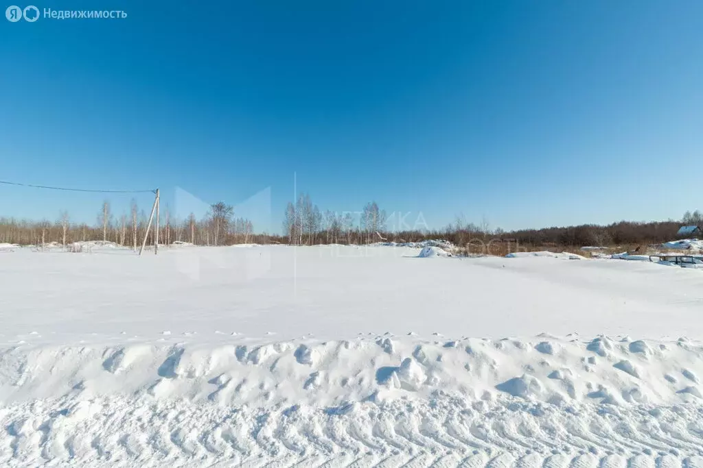 Участок в Тюменская область, Нижнетавдинский муниципальный округ, ... - Фото 2