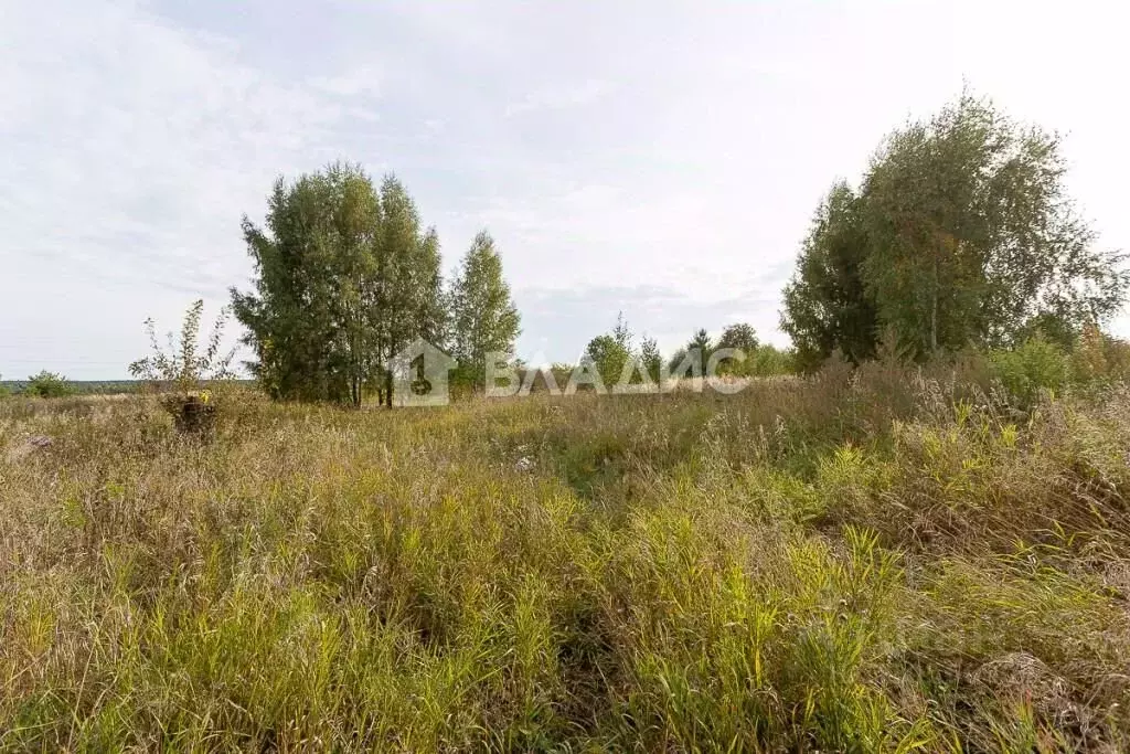 Участок в Владимирская область, Суздальский район, Новоалександровское ... - Фото 1