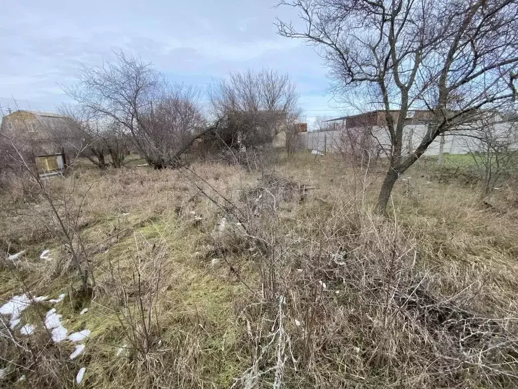 Участок в Крым, Симферопольский район, Урожайновское с/пос, Вита СПК  ... - Фото 1