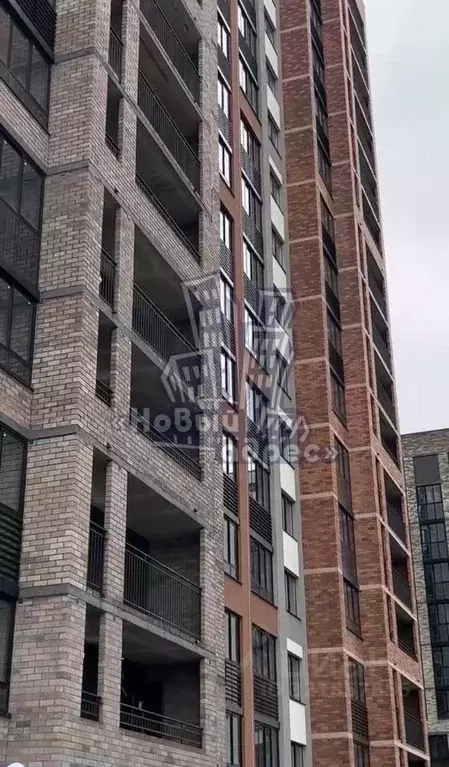 2-к кв. Воронежская область, Воронеж Острогожская ул., 156/1 (54.3 м) - Фото 2