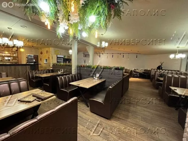 Помещение свободного назначения (227 м) - Фото 2