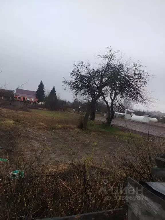 Дом в Рязанская область, Спасский муниципальный округ, с. Ижевское ул. ... - Фото 2