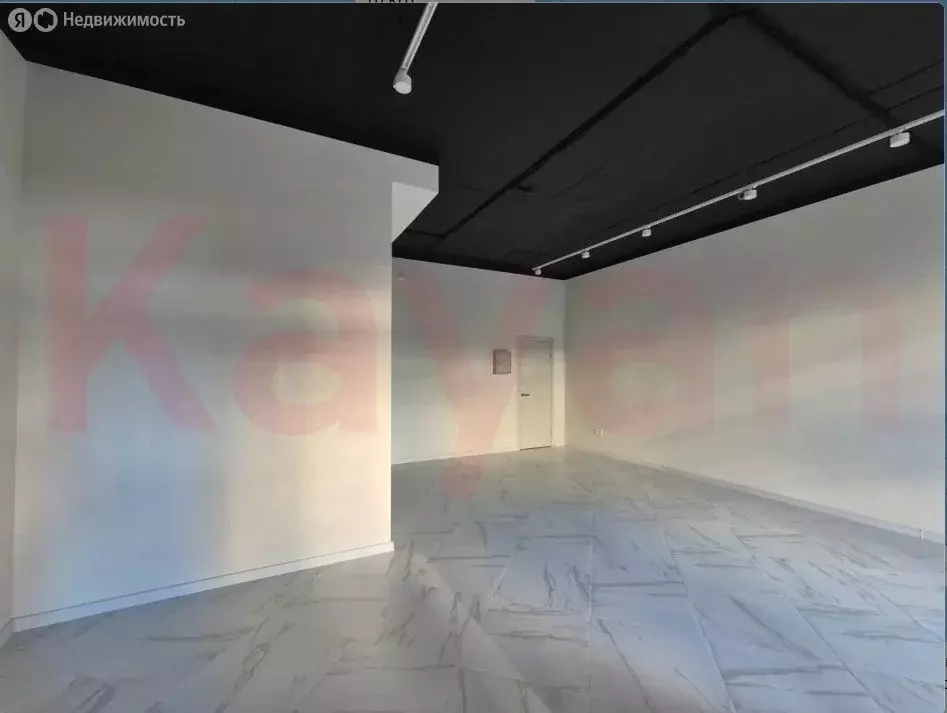 Помещение свободного назначения (50.9 м) - Фото 2