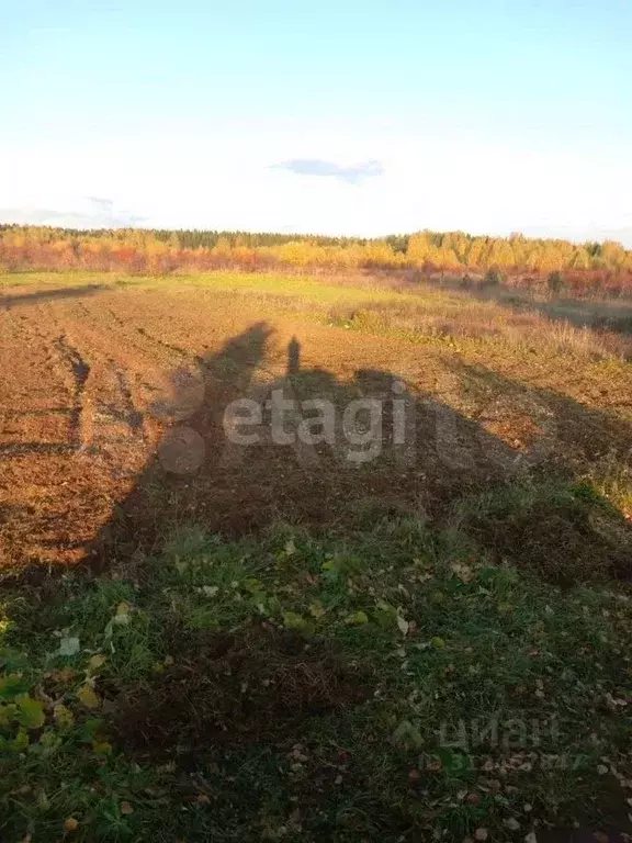 Участок в Кировская область, Слободской район, Шиховское с/пос, д. ... - Фото 1