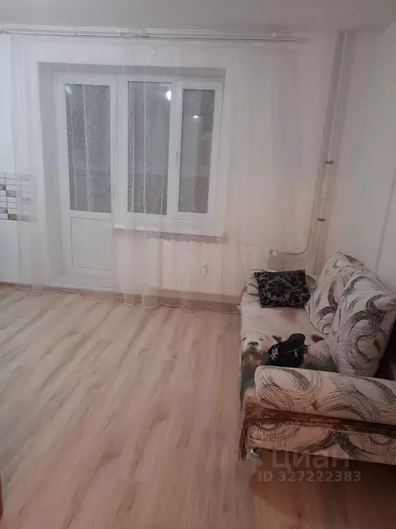 Студия Удмуртия, Ижевск ул. Героя России Ильфата Закирова, 36 (19.8 м) - Фото 1