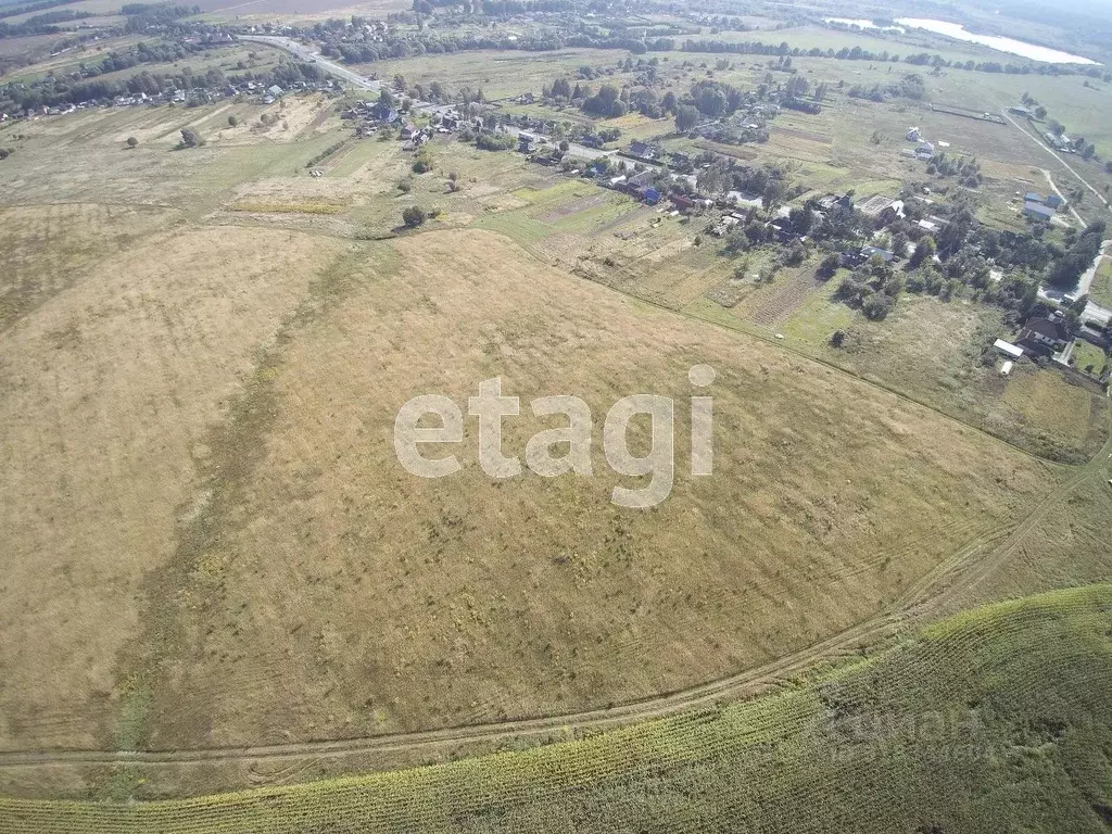 Участок в Брянская область, Выгоничский район, Кокинское с/пос, с. ... - Фото 1