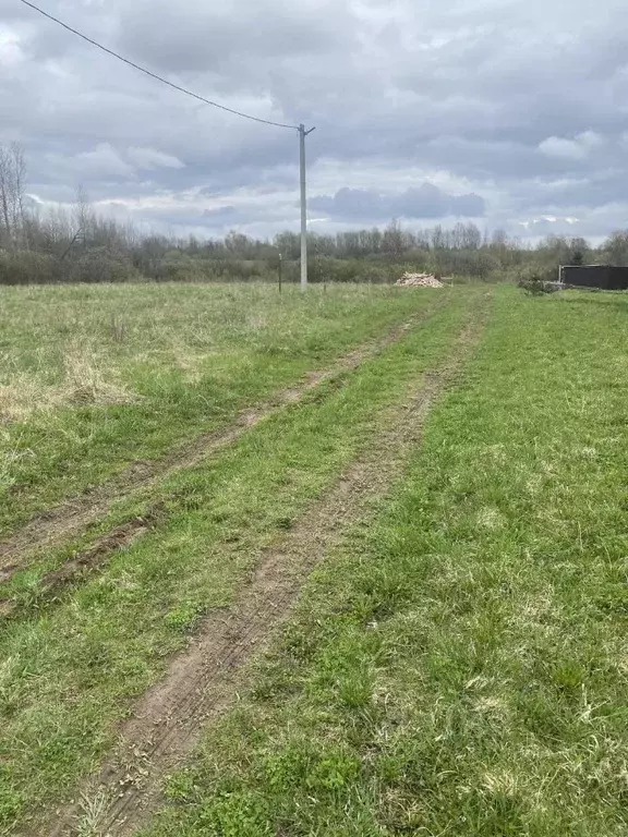 Участок в Новгородская область, Новгородский район, Ракомское с/пос, ... - Фото 0