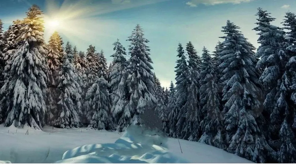 Коттедж в Татарстан, Зеленодольский район, Раифское с/пос, с. ... - Фото 2