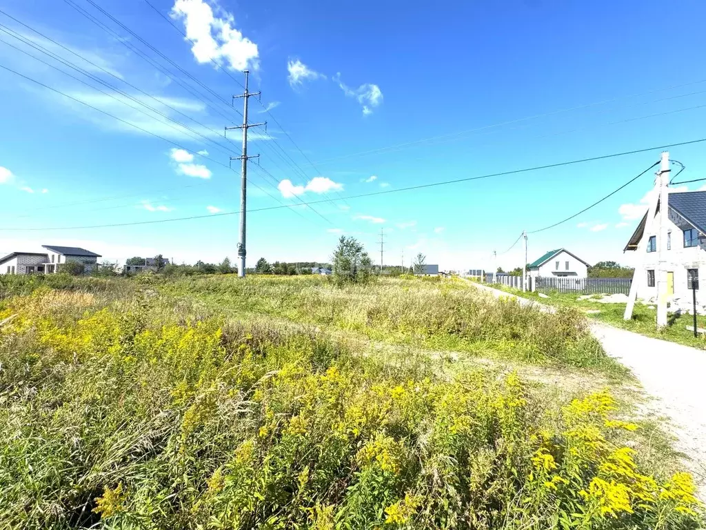 Участок в Калининградская область, Зеленоградск ул. Бирюзовая (7.3 ... - Фото 2