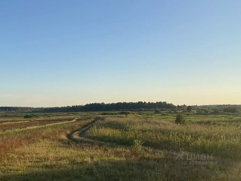 Участок в Тверская область, Бежецкий муниципальный округ, д. Новинка ... - Фото 1