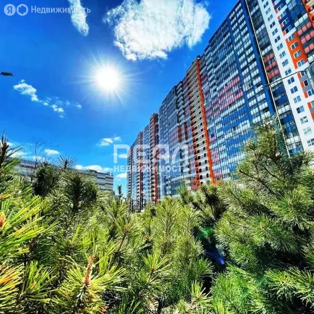 2-комнатная квартира: Санкт-Петербург, Плесецкая улица, 10 (50.6 м) - Фото 0