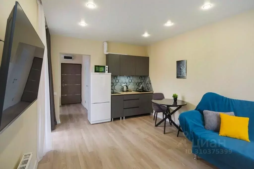 1-к кв. Краснодарский край, Сочи ул. Искры, 88лит4 (28.0 м) - Фото 1