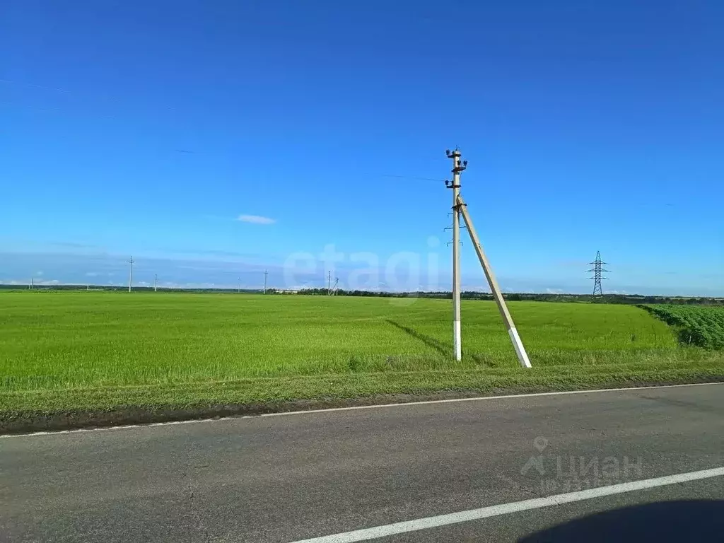 Участок в Белгородская область, Красногвардейский муниципальный округ, ... - Фото 1