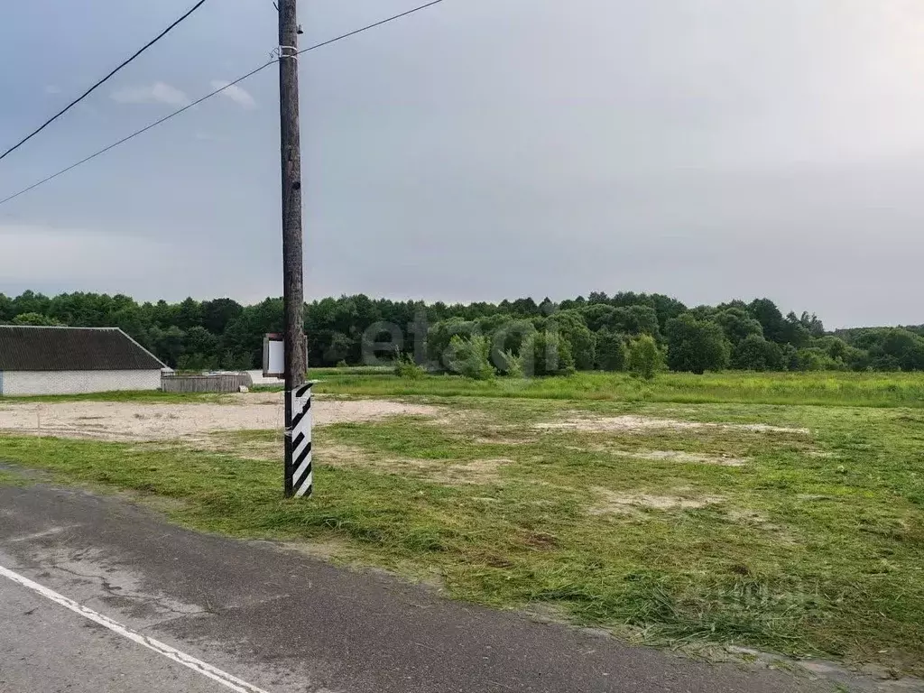 Участок в Брянская область, Брянский район, Новодарковичское с/пос, д. ... - Фото 2