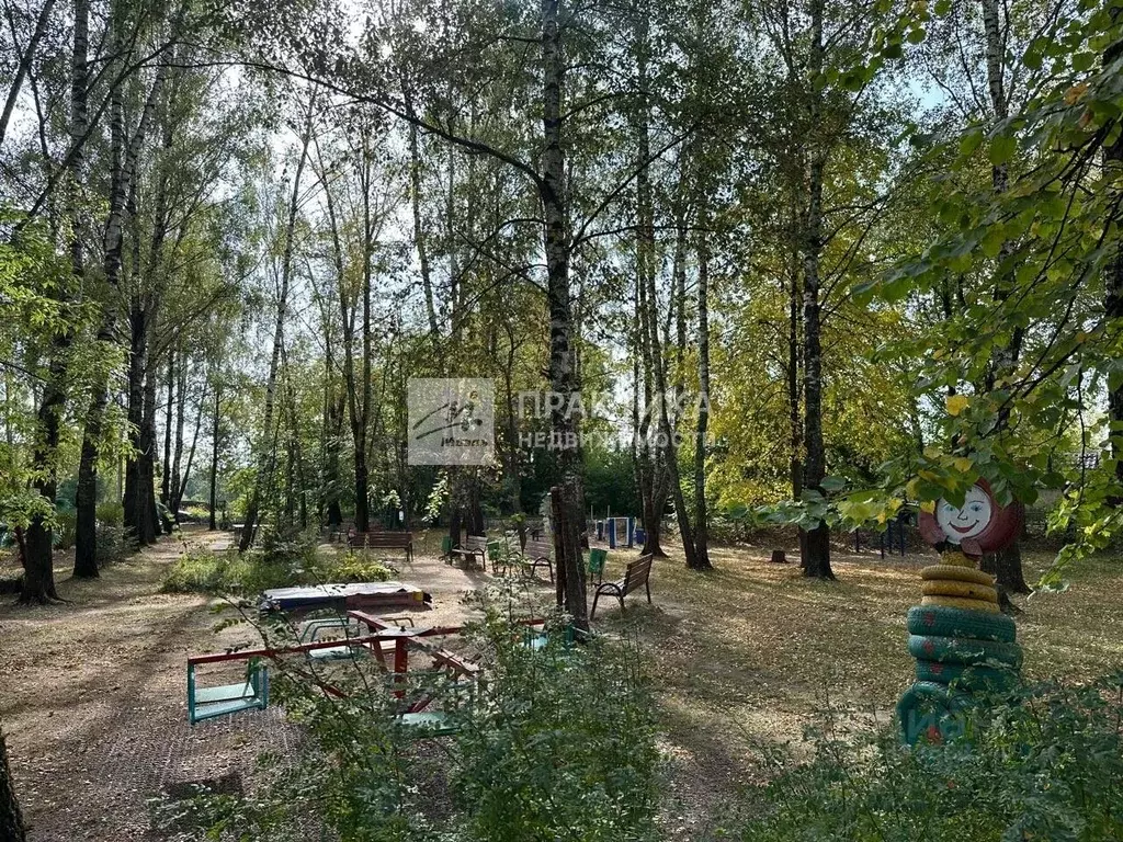 2-к кв. Московская область, Богородский городской округ, д. Большое ... - Фото 2