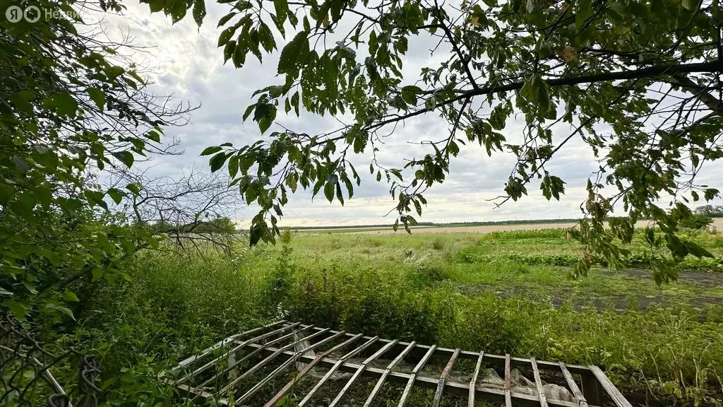 Дом в Курганинский район, Безводное сельское поселение, посёлок ... - Фото 1