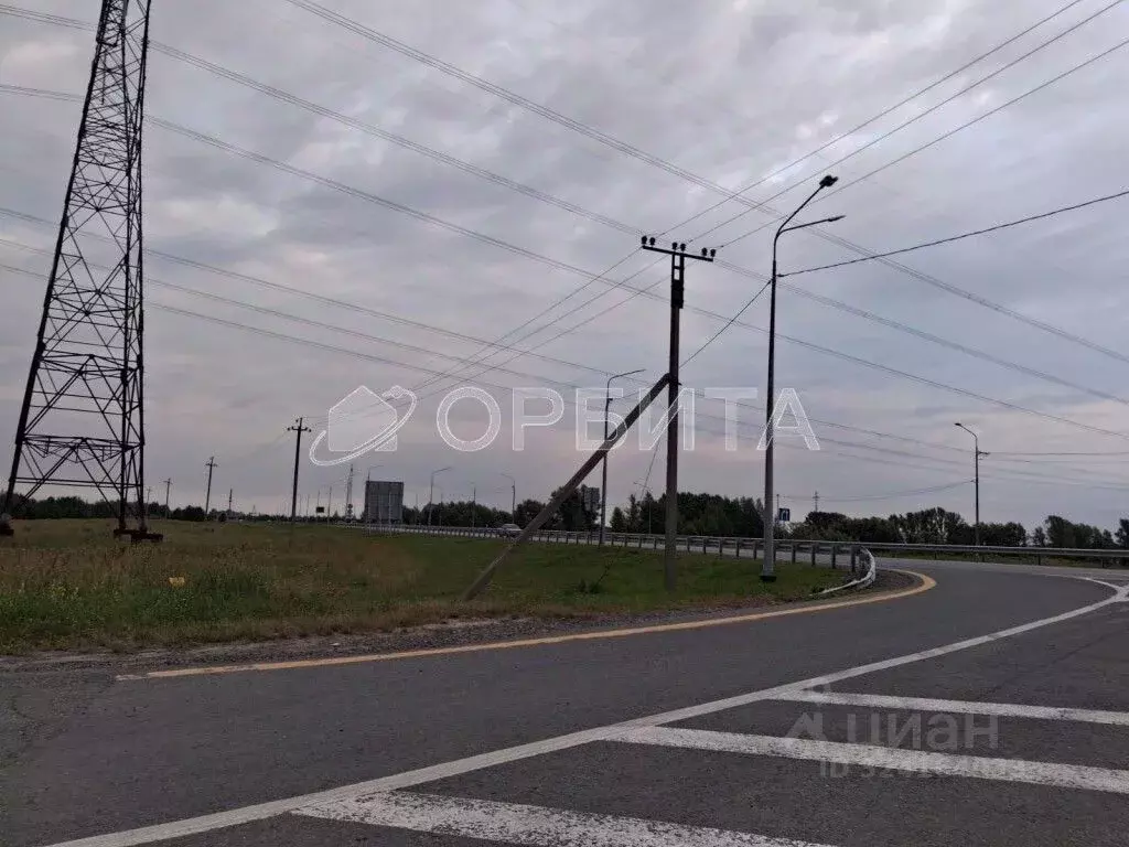 Участок в Тюменская область, Тюменский муниципальный округ, с. Борки  ... - Фото 2