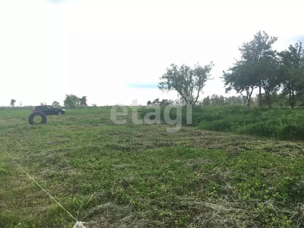 Участок в Брянская область, Брянский район, Мичуринское с/пос, ... - Фото 1