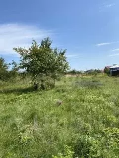 Участок в Калининградская область, Зеленоградский муниципальный округ, ... - Фото 1