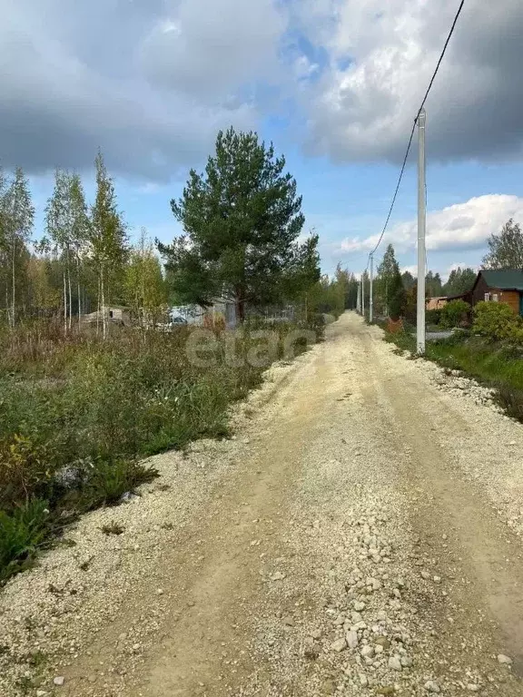 Участок в Ленинградская область, Тосненский район, Ульяновское ... - Фото 0