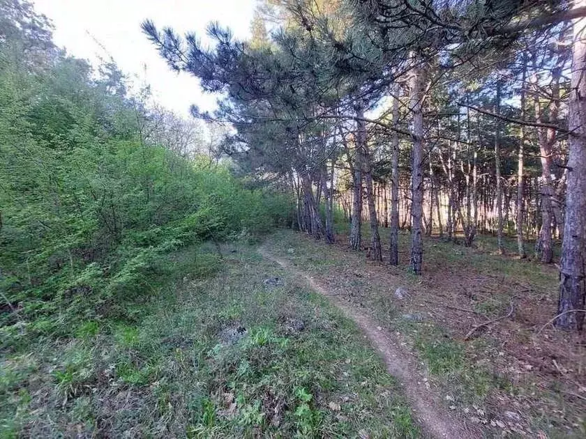 Участок в Севастополь Балаклавский муниципальный округ, Дергачи-4 СНТ, ... - Фото 2
