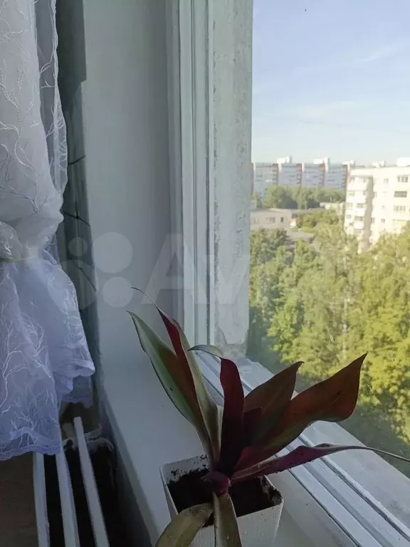 Комната 13,2 м в 3-к., 9/9 эт. - Фото 1