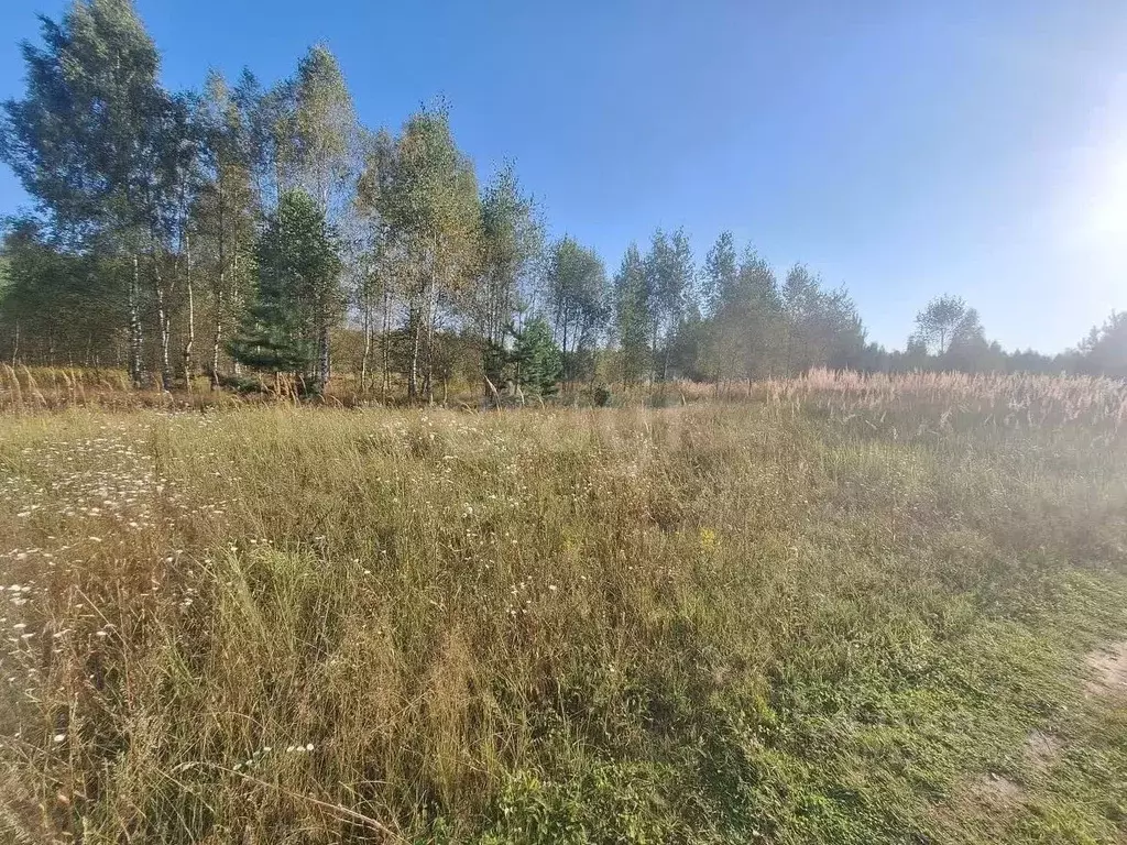 Участок в Владимирская область, Петушинский муниципальный округ, пос. ... - Фото 2