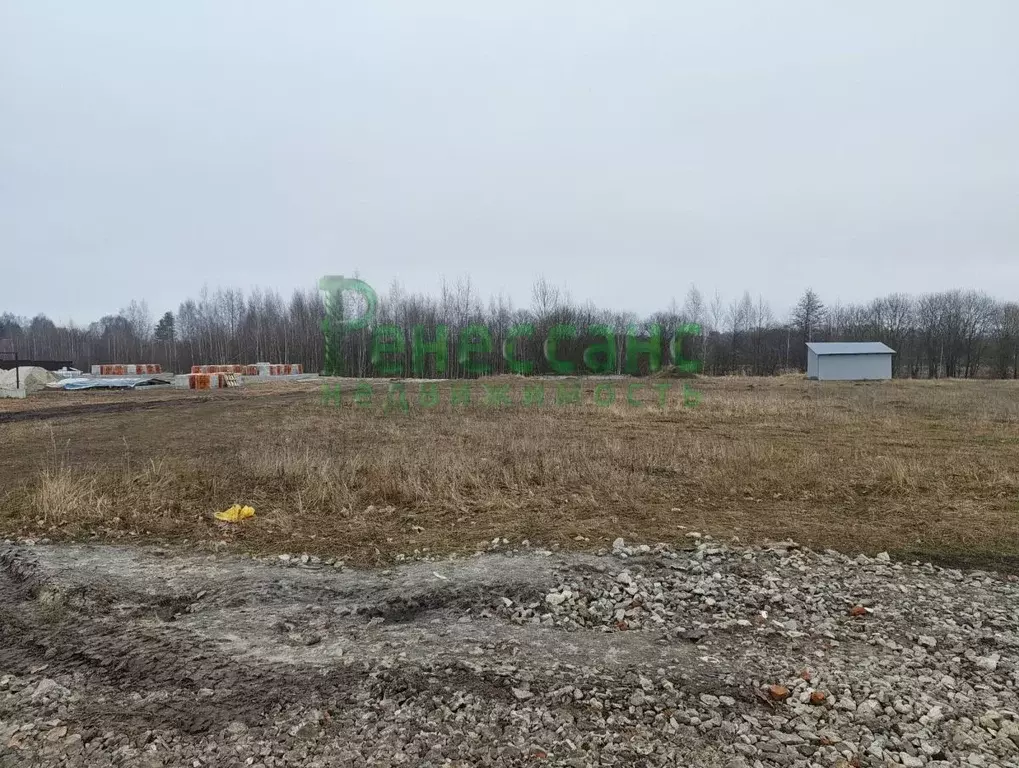 Участок в Брянская область, Выгоничский район, Кокинское с/пос, с. ... - Фото 1