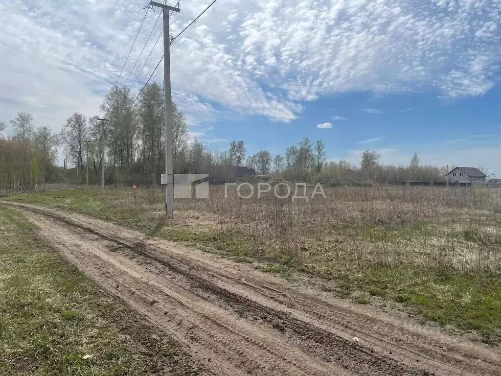 Участок в Алтайский край, Первомайский район, пос. Новый ул. 1-я ... - Фото 2