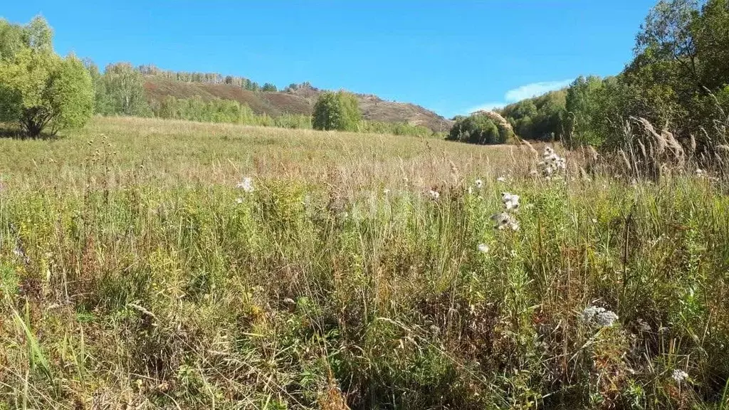Участок в Алтайский край, Тогульский район, с. Шумиха Верхняя ул. ... - Фото 0