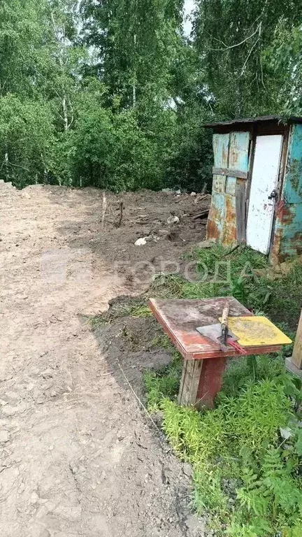 Участок в Новосибирская область, Новосибирск Комета-Березка садовое ... - Фото 2