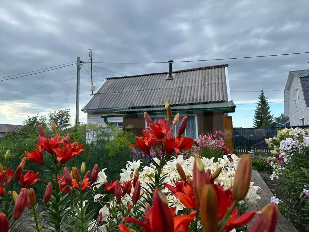 Дача 30 м на участке 4 сот. - Фото 0