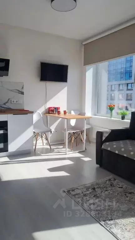 Студия Башкортостан, Уфа ул. Художника Позднова, 11 (30.0 м) - Фото 1