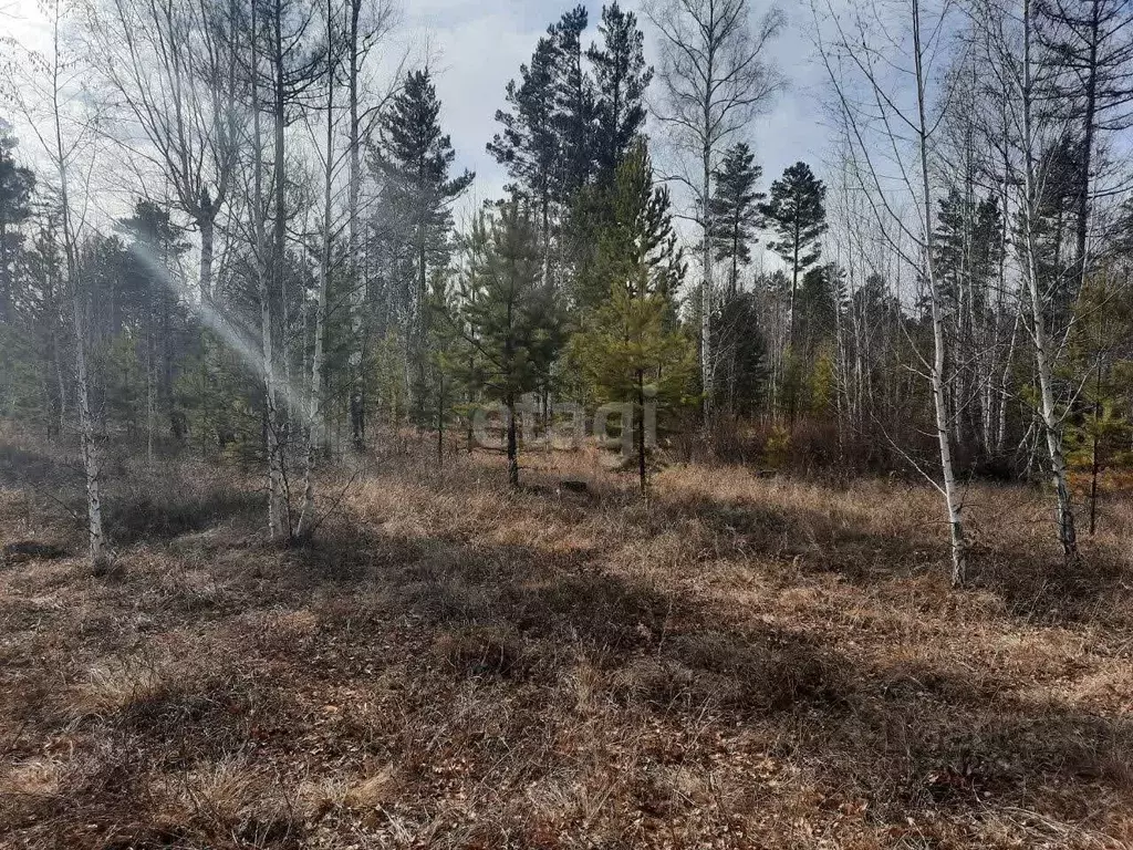 Участок в Забайкальский край, Читинский район, с. Смоленка  (99.5 ... - Фото 0