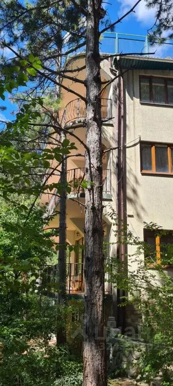 Дом в Крым, Ялта  (617 м) - Фото 2