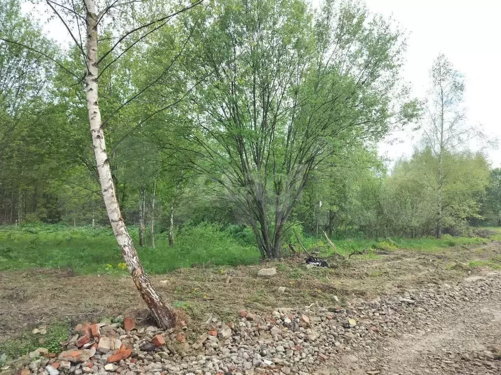 Участок 6,6 сот. (ИЖС) - Фото 0